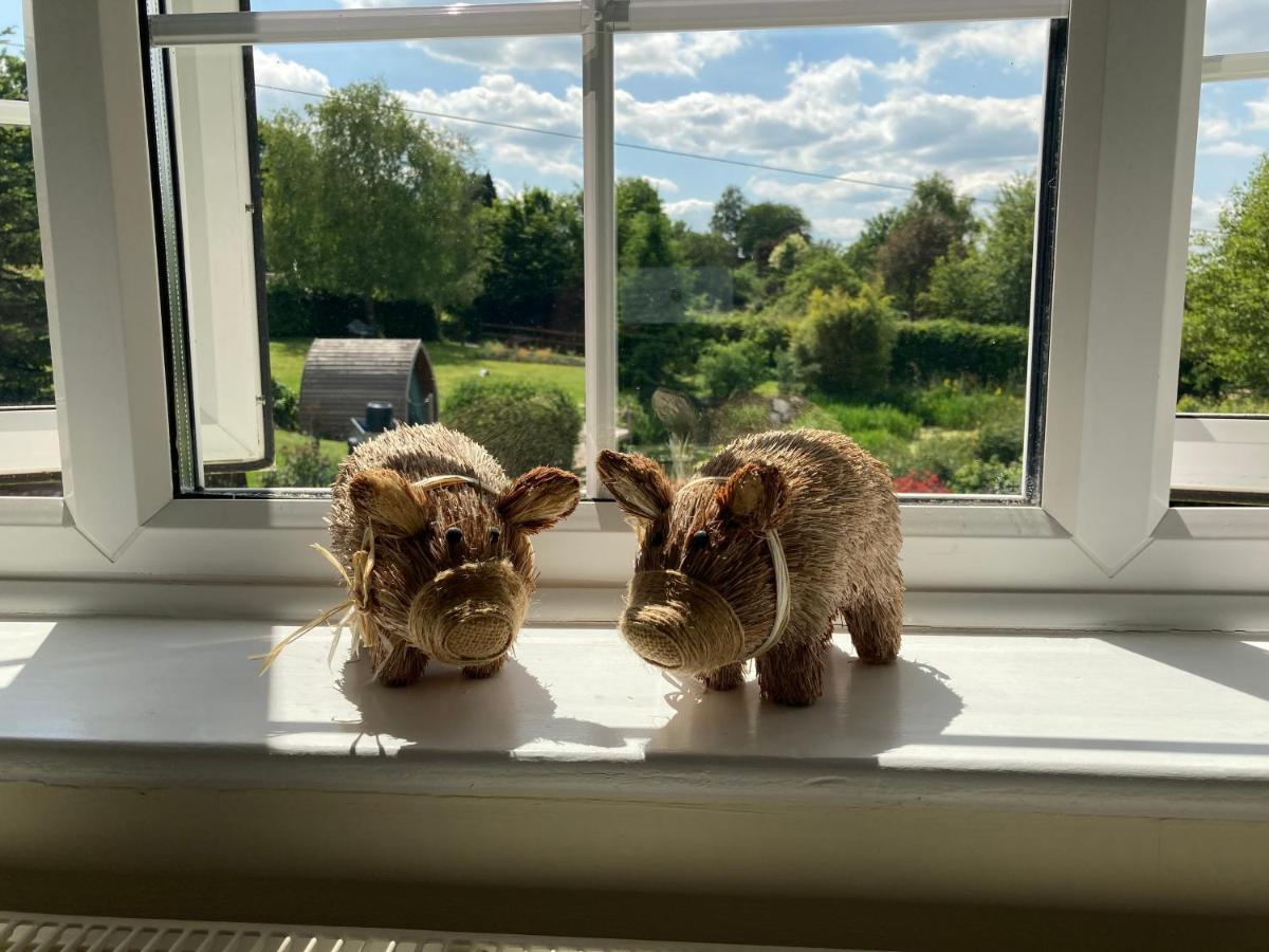 สเลดฟาร์มเลเชอร์ Bed & Breakfast Edington  ภายนอก รูปภาพ