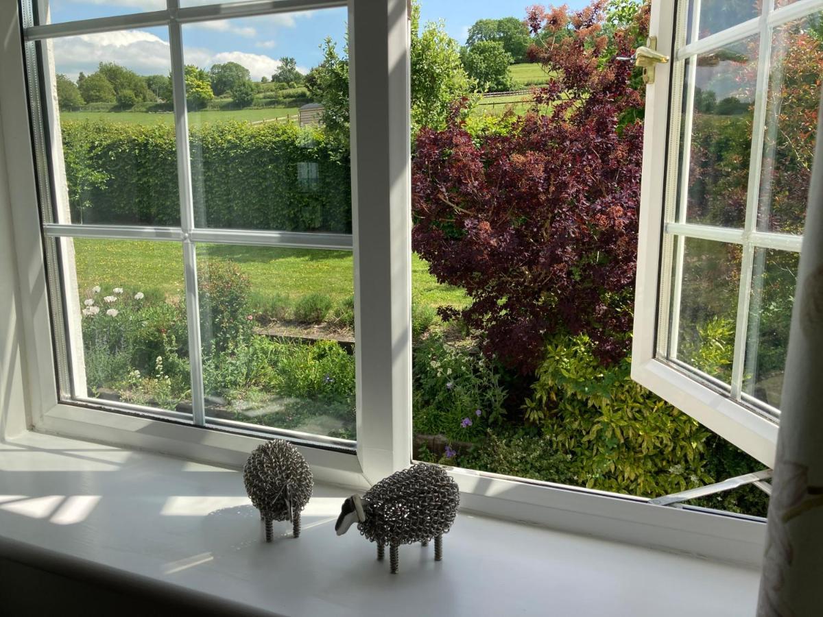 สเลดฟาร์มเลเชอร์ Bed & Breakfast Edington  ภายนอก รูปภาพ