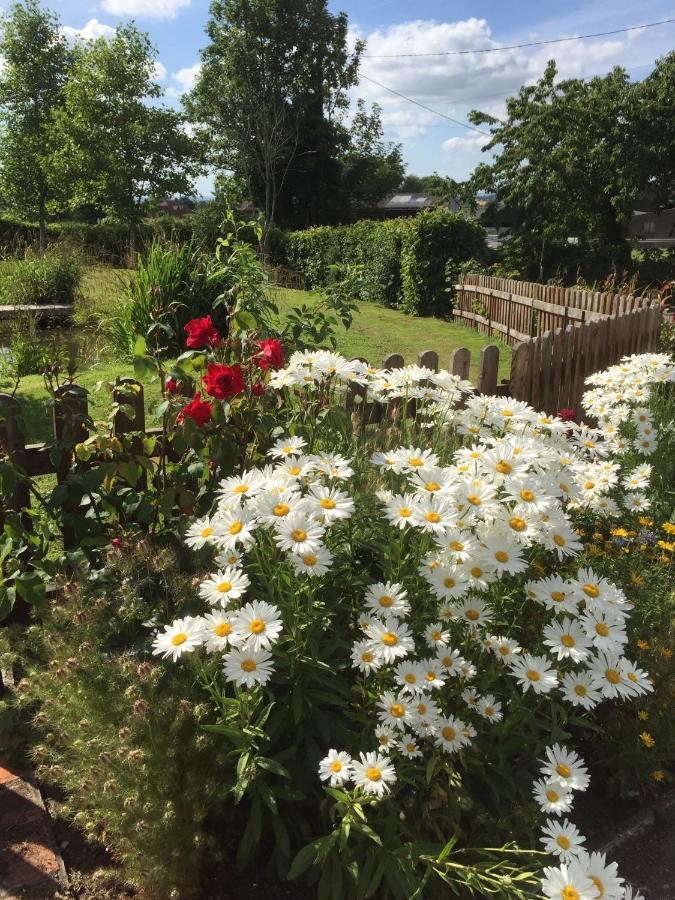 สเลดฟาร์มเลเชอร์ Bed & Breakfast Edington  ภายนอก รูปภาพ