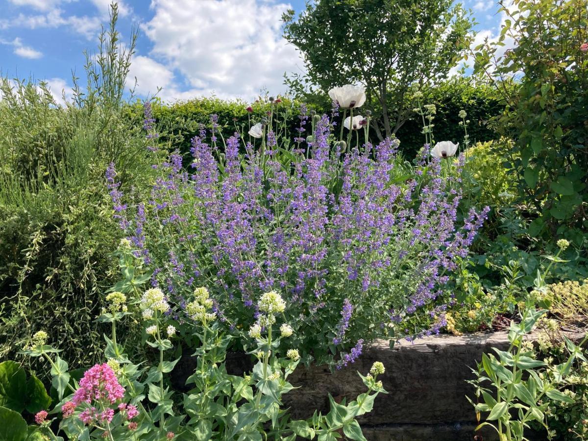 สเลดฟาร์มเลเชอร์ Bed & Breakfast Edington  ภายนอก รูปภาพ